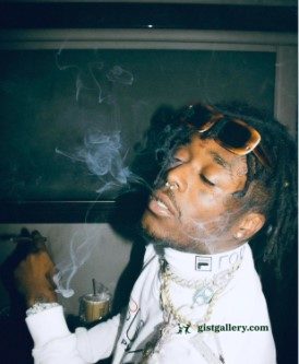 uzi backwoods